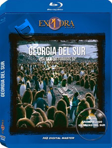 South Georgia: Life Under Furious Fifties | Georgia del Sur: Vida bajo los furiosos cincuenta  |   Blu-Ray